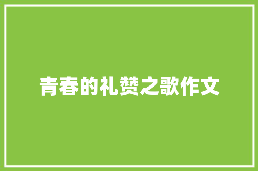 装修照明之光——哪款头灯好用又适用
