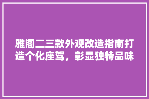 雅阁二三款外观改造指南打造个化座驾，彰显独特品味