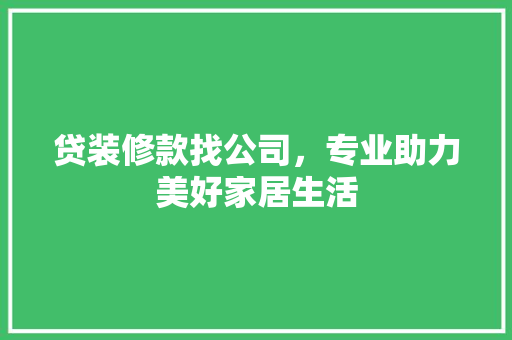 贷装修款找公司，专业助力美好家居生活