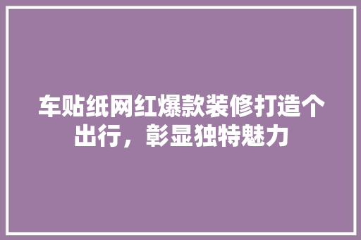 车贴纸网红爆款装修打造个出行，彰显独特魅力