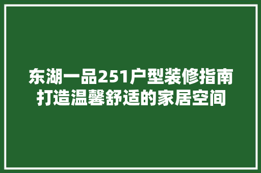东湖一品251户型装修指南打造温馨舒适的家居空间