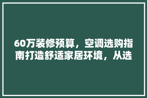 60万装修预算，空调选购指南打造舒适家居环境，从选择这款空调开始
