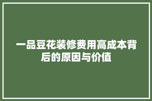 一品豆花装修费用高成本背后的原因与价值