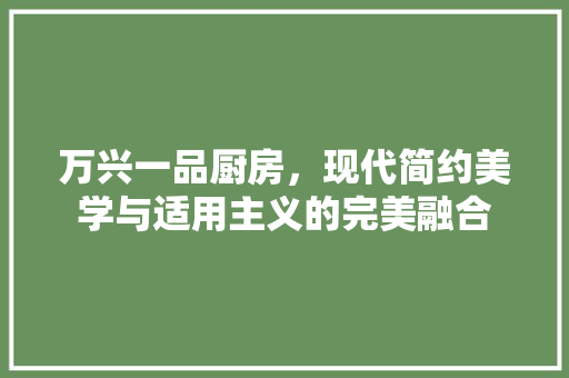 万兴一品厨房，现代简约美学与适用主义的完美融合