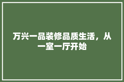 万兴一品装修品质生活，从一室一厅开始