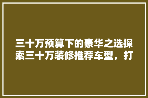三十万预算下的豪华之选探索三十万装修推荐车型，打造个座驾