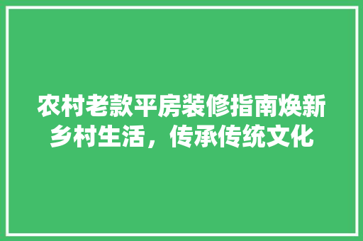 农村老款平房装修指南焕新乡村生活，传承传统文化