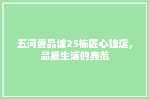 五河壹品城25栋匠心独运，品质生活的典范