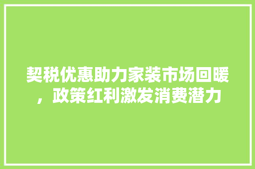 契税优惠助力家装市场回暖，政策红利激发消费潜力