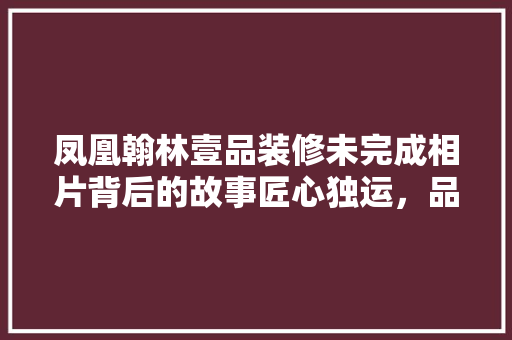 凤凰翰林壹品装修未完成相片背后的故事匠心独运，品质生活初现端倪
