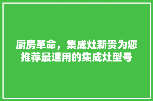 厨房革命，集成灶新贵为您推荐最适用的集成灶型号