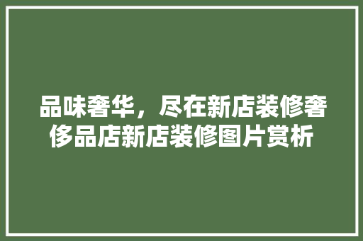 品味奢华，尽在新店装修奢侈品店新店装修图片赏析