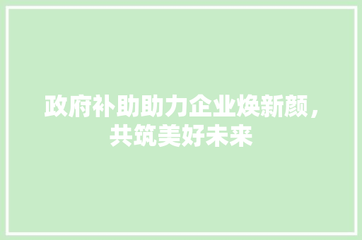 政府补助助力企业焕新颜，共筑美好未来