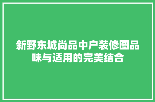 新野东城尚品中户装修图品味与适用的完美结合