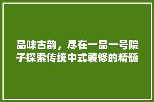 品味古韵，尽在一品一号院子探索传统中式装修的精髓