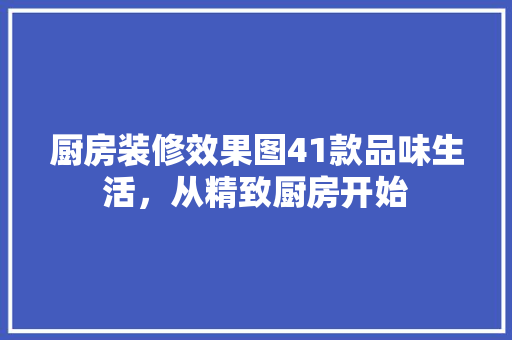 厨房装修效果图41款品味生活，从精致厨房开始