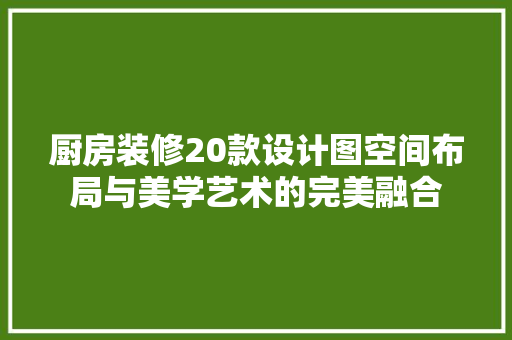 厨房装修20款设计图空间布局与美学艺术的完美融合