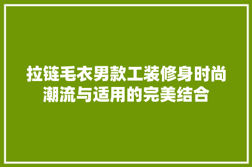 拉链毛衣男款工装修身时尚潮流与适用的完美结合