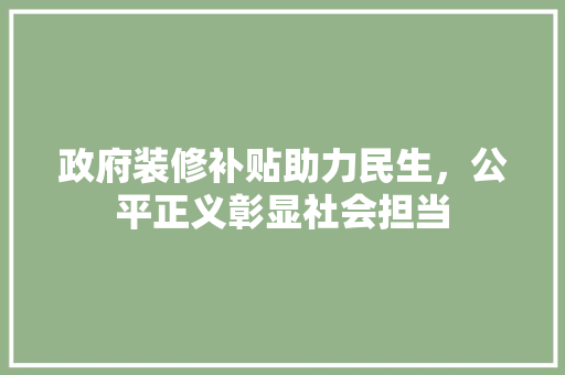 政府装修补贴助力民生，公平正义彰显社会担当