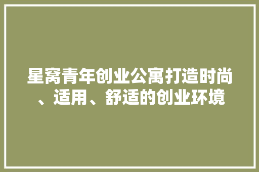 星窝青年创业公寓打造时尚、适用、舒适的创业环境