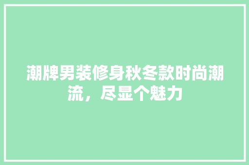 潮牌男装修身秋冬款时尚潮流，尽显个魅力
