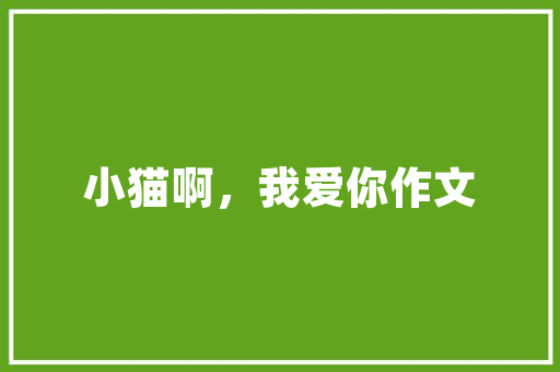 简约风格装修必备——推荐款猫爬架，为爱宠打造温馨家园