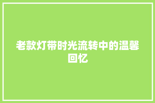 老款灯带时光流转中的温馨回忆