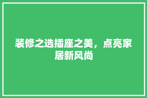 装修之选插座之美，点亮家居新风尚
